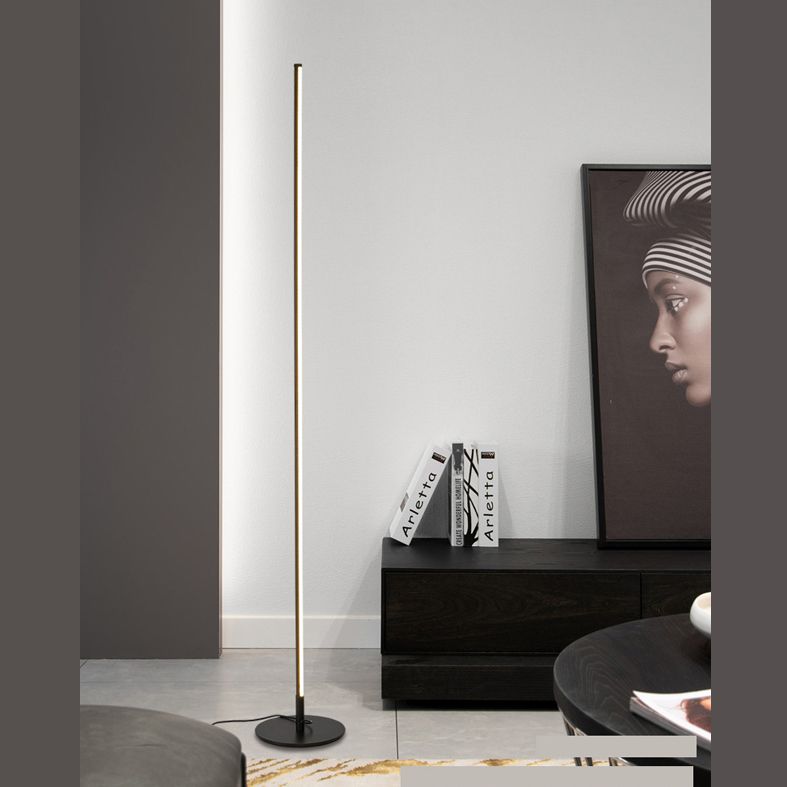 Ray Simple Linéaire LED Lampadaire Or Noir Métal Gel de Silice Salon Chambre