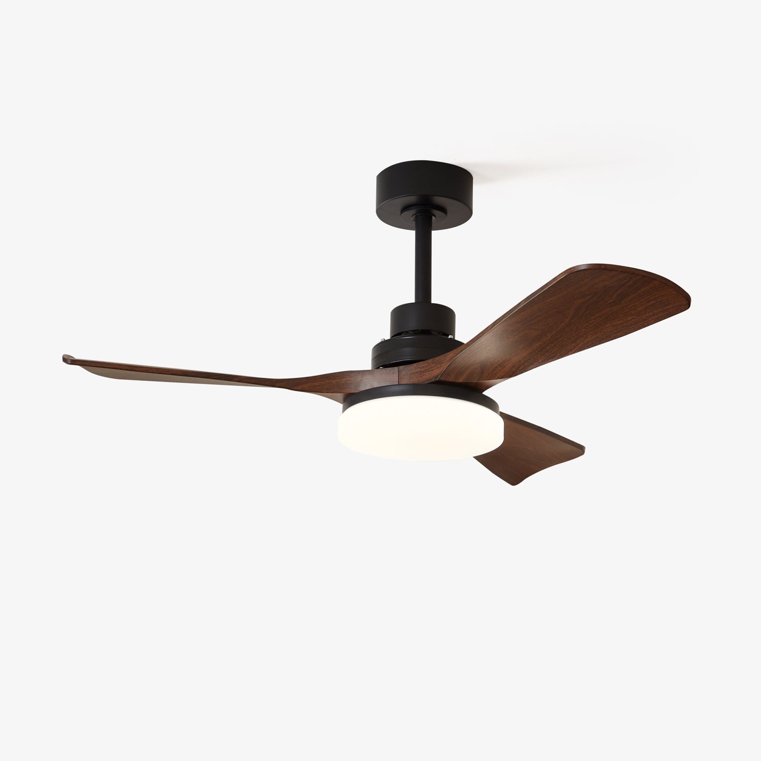 Nilo Modern Acrylic Metal Ceiling Fan Light