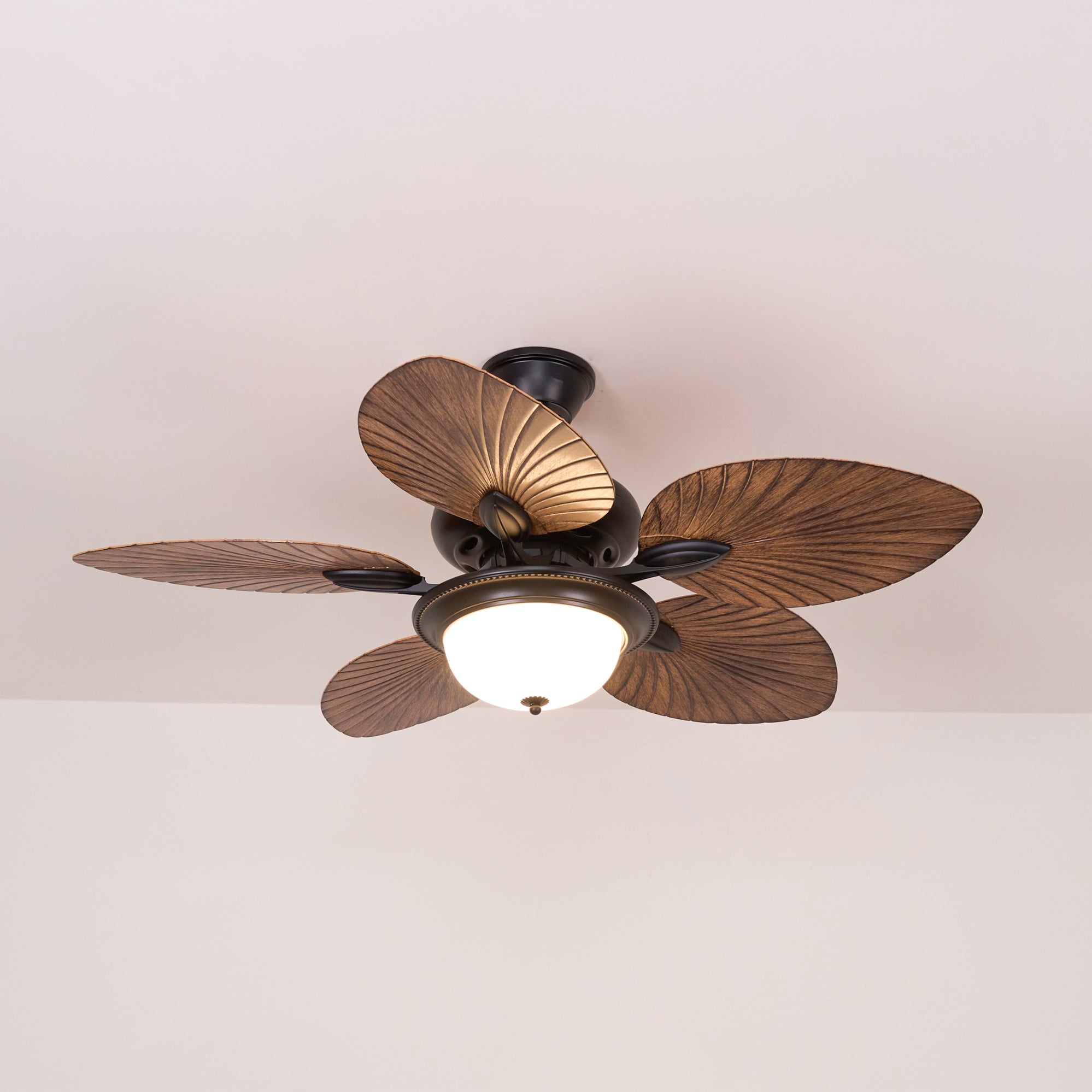 Yearn Natural Classic Walnut Acrylic Ceiling Fan Light - Lamp Copper