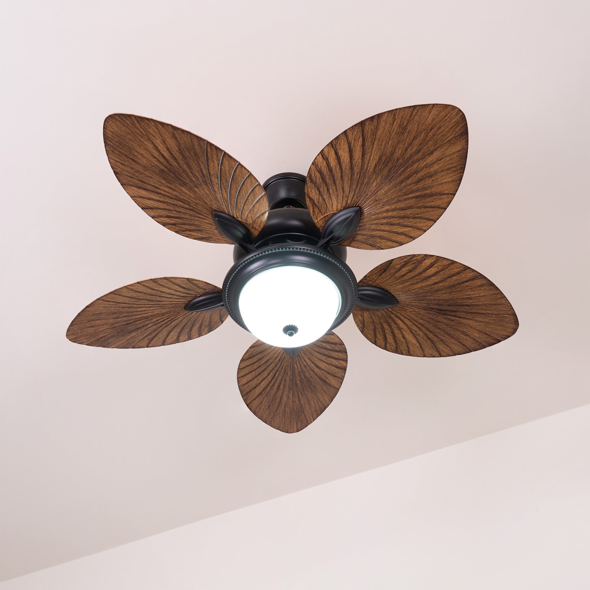 Yearn Natural Classic Walnut Acrylic Ceiling Fan Light - Lamp Copper
