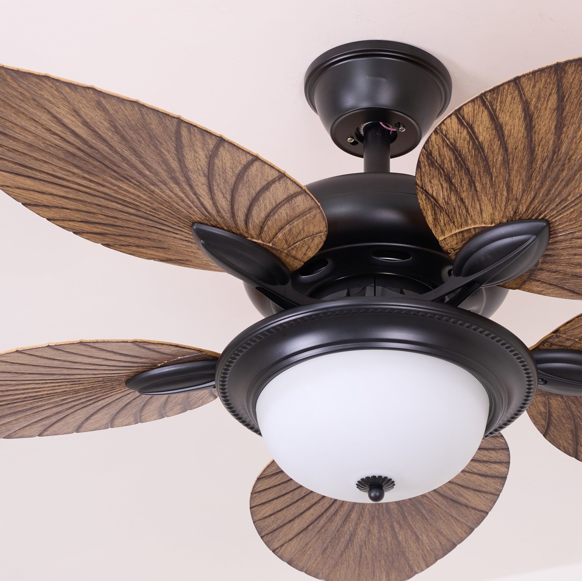 Yearn Natural Classic Walnut Acrylic Ceiling Fan Light - Lamp Copper