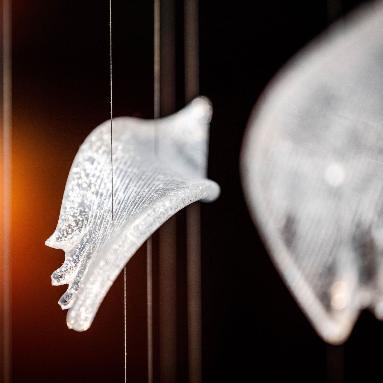 Zathaara Glass Feather Shape Chandelier - Blowlighting