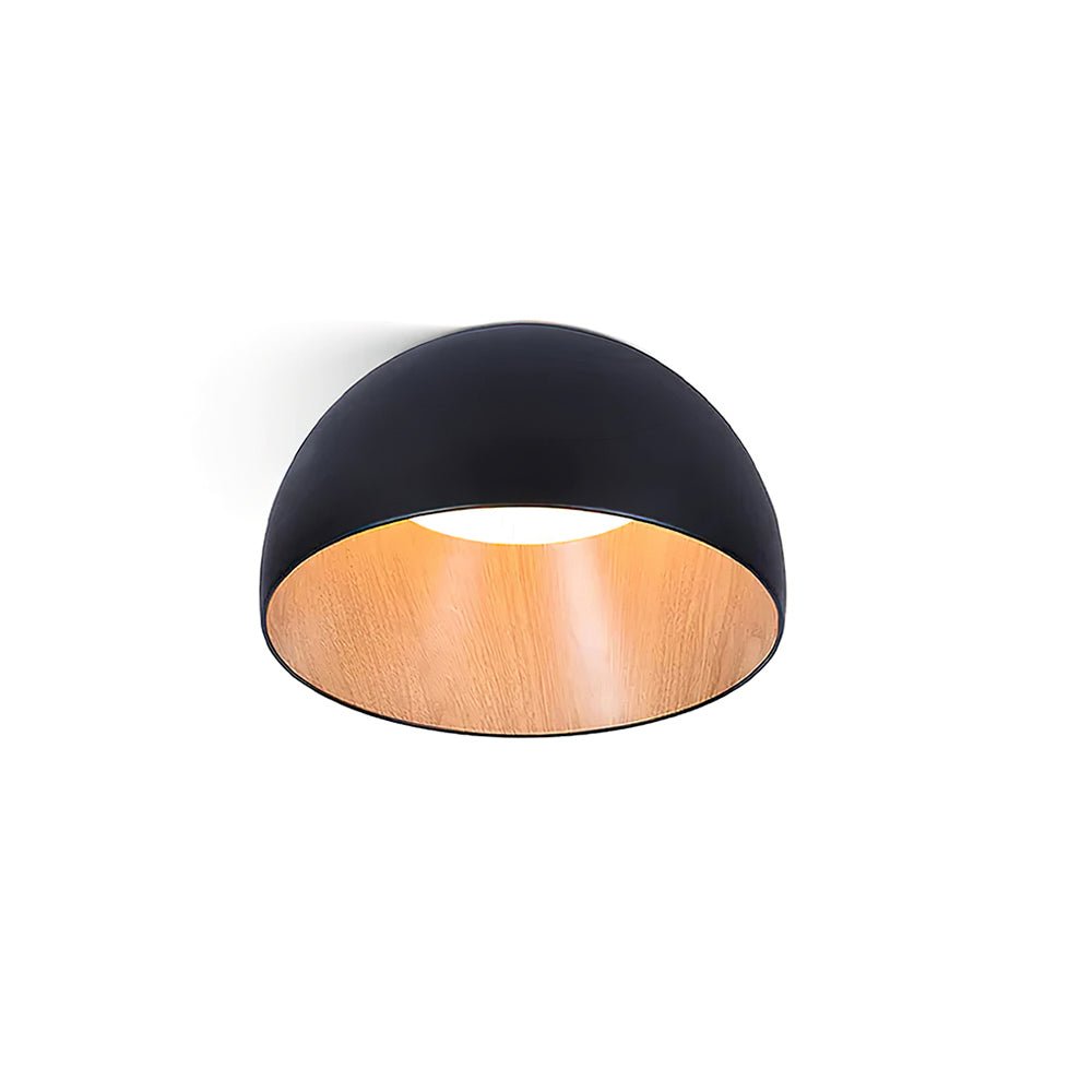 Duo Ceiling Lamp - Blowlighting