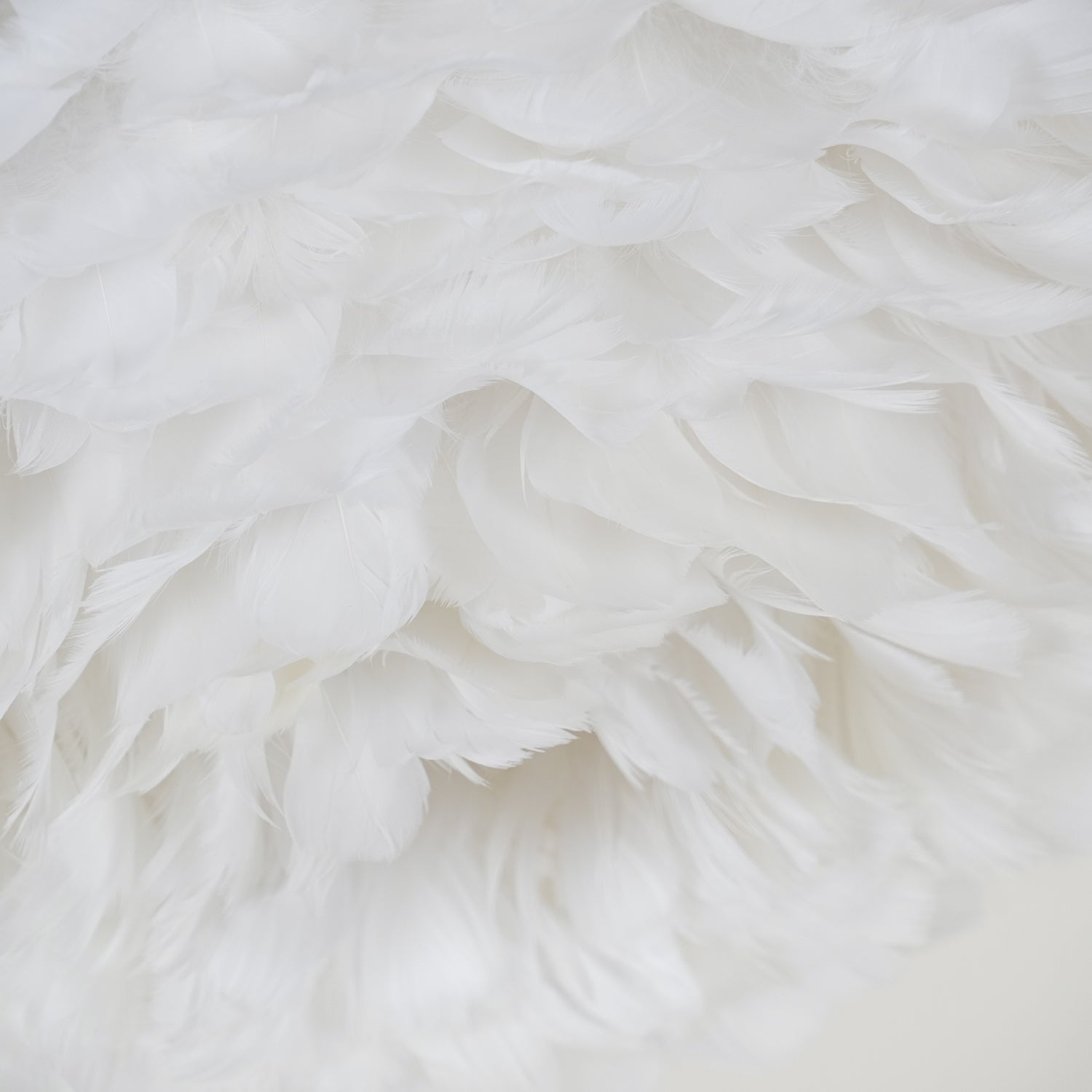 Feathered Ceiling Lamp - Blowlighting