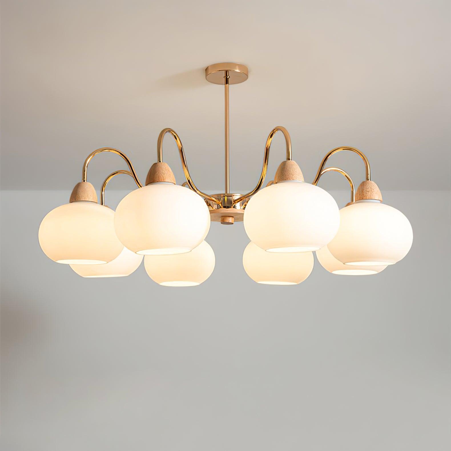 Zevena Glass Chandelier - Letslighting