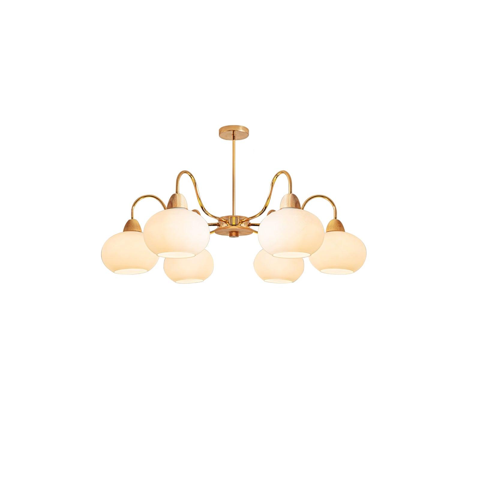 Zevena Glass Chandelier - Letslighting