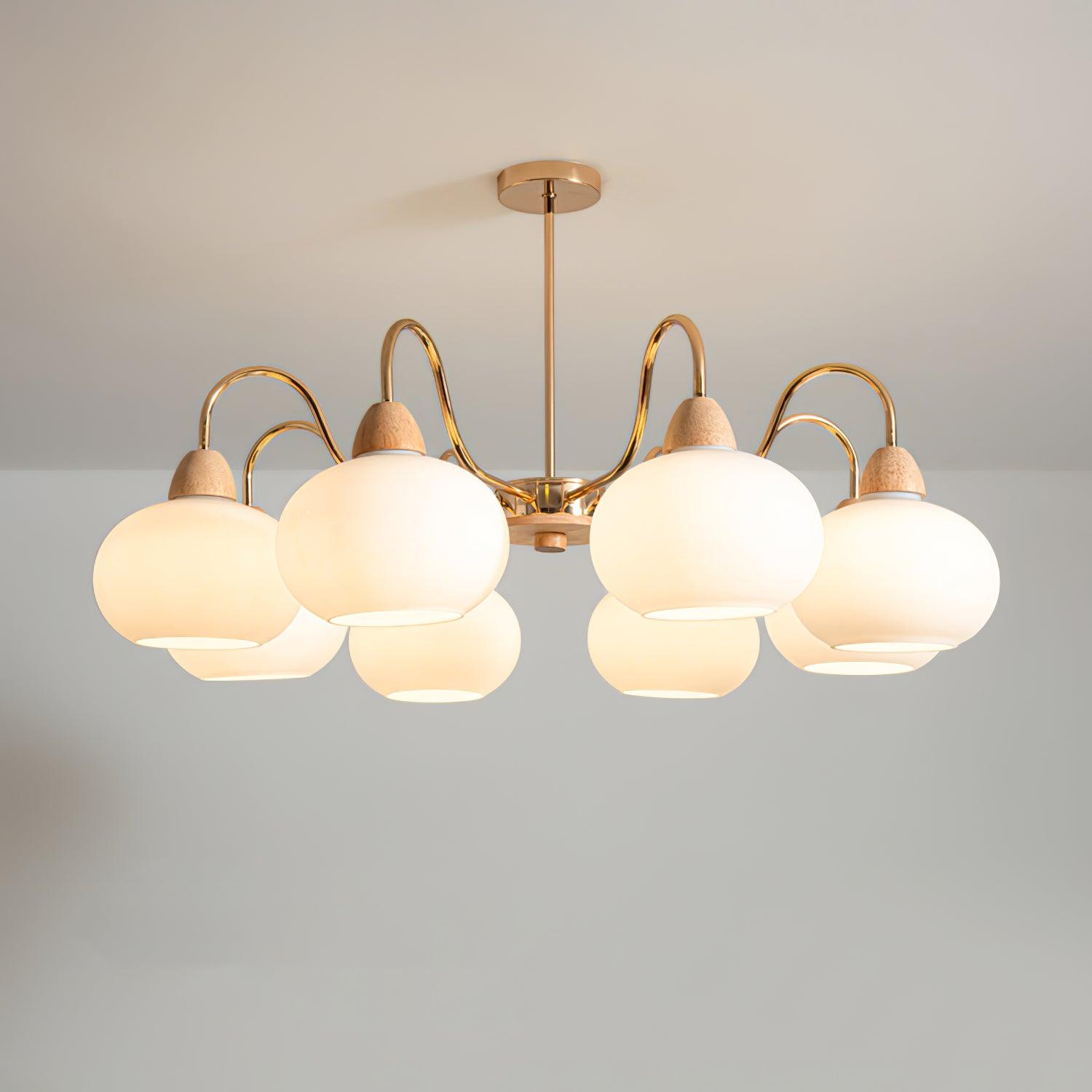 Zevena Glass Chandelier - Letslighting