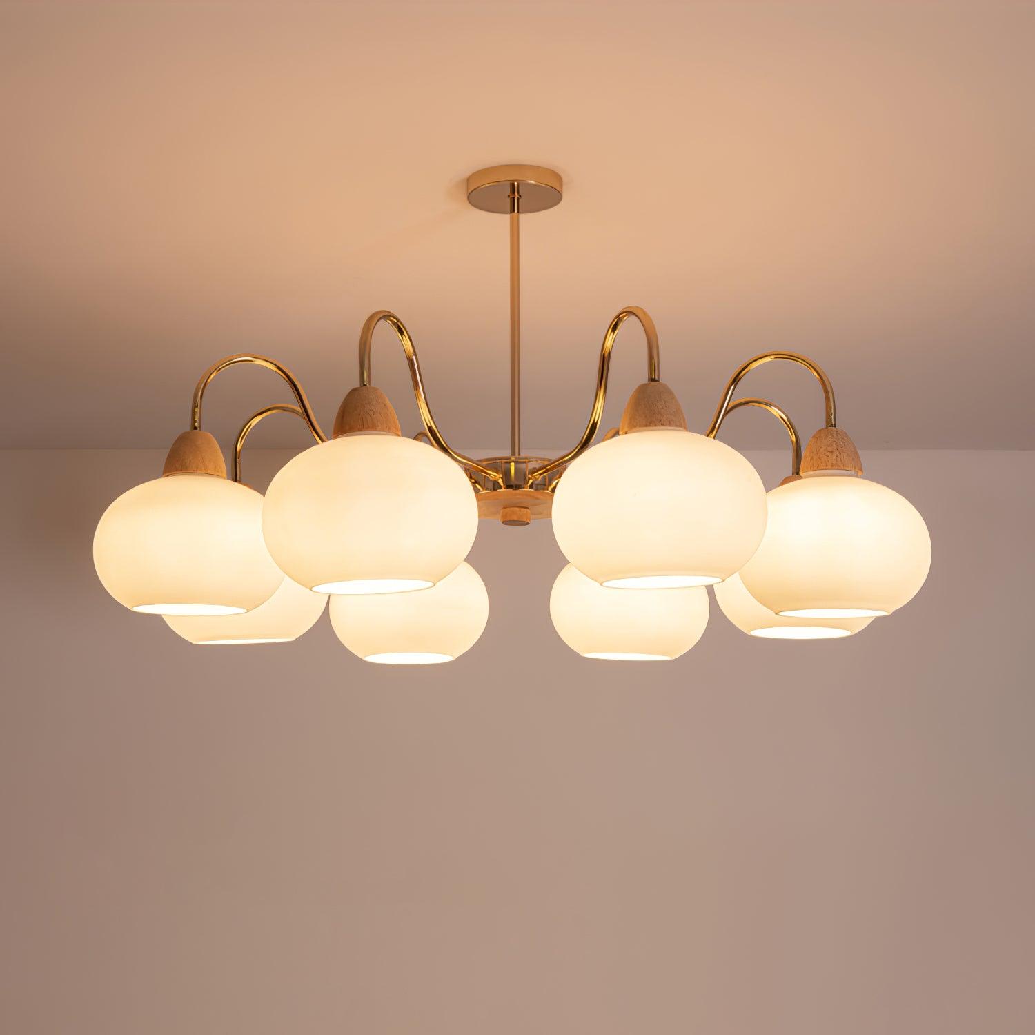 Zevena Glass Chandelier - Letslighting