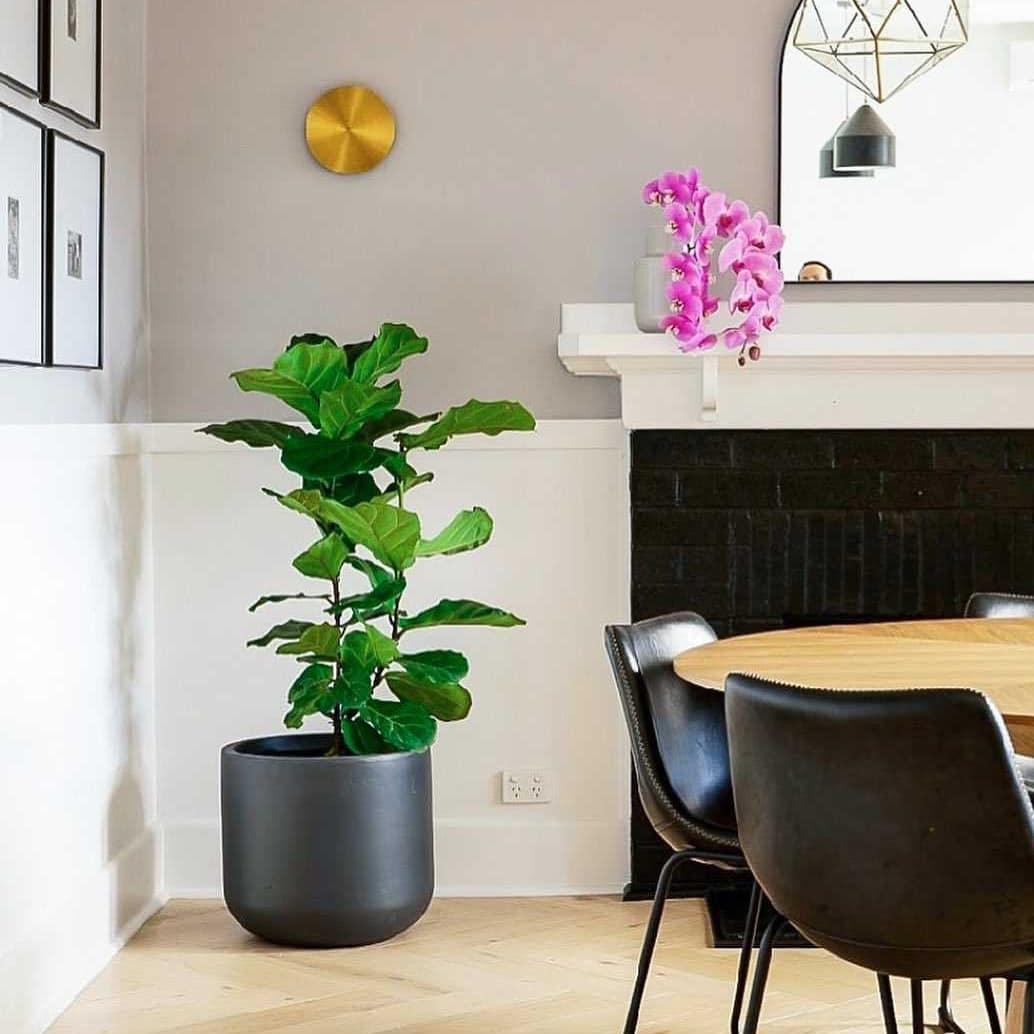 Tivral Brass Minimalist Wall Lamp - Letslighting