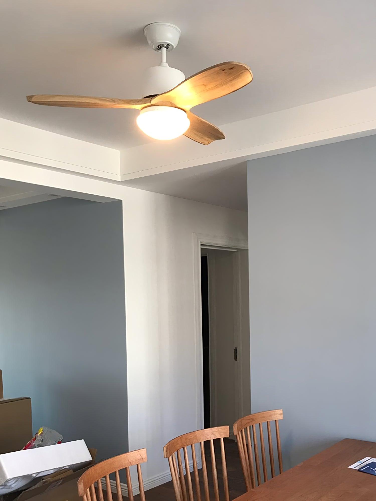 Harborough 3 Ceiling Fan Light - Blowlighting