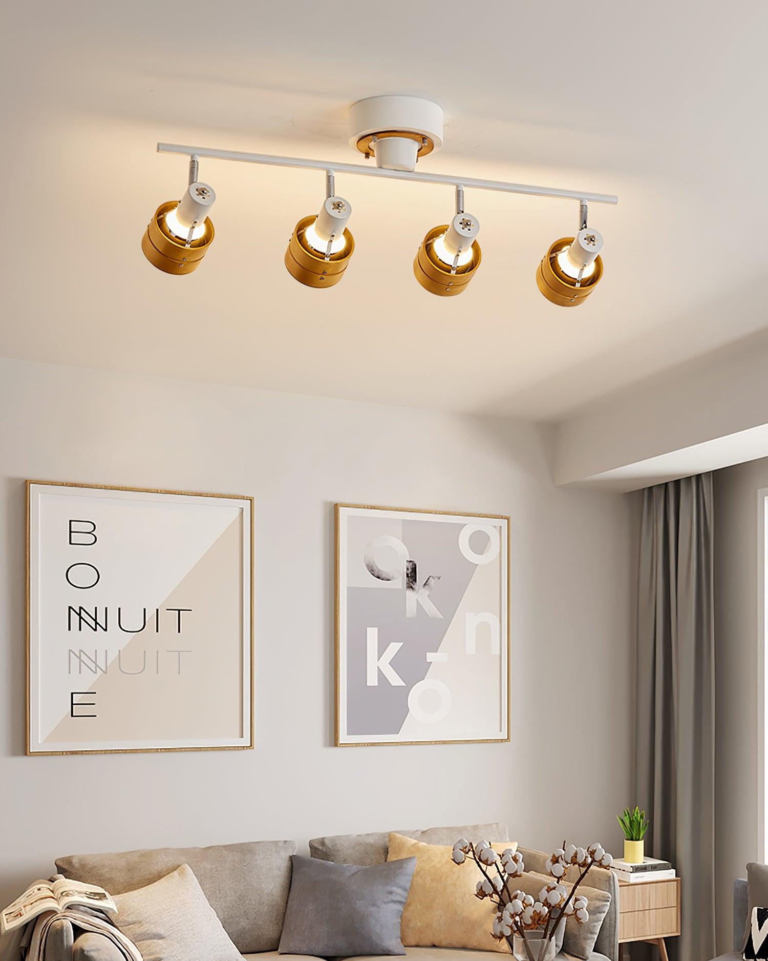 Daven Adjustable 4-Light Track Spotlight - Letslighting