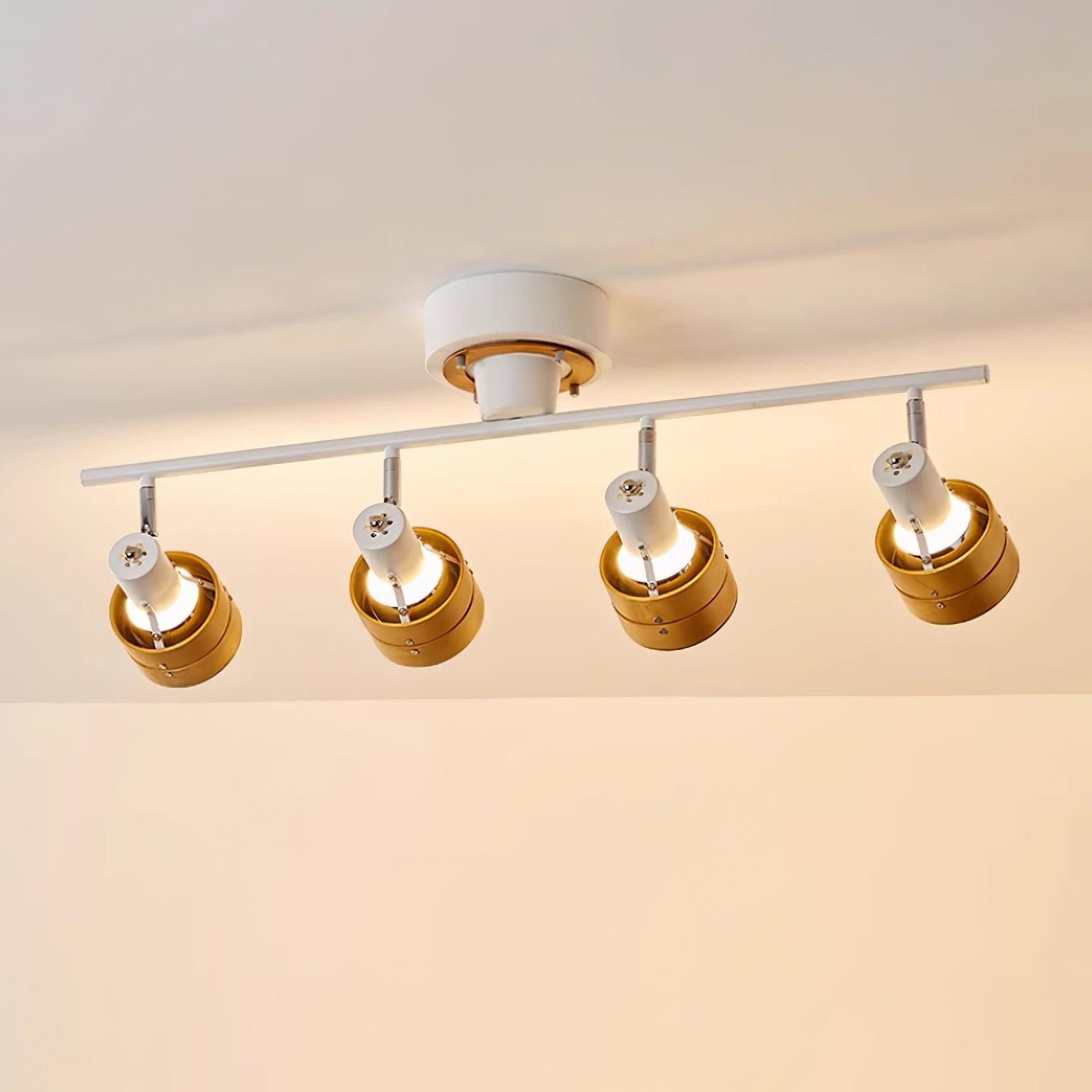 Daven Adjustable 4-Light Track Spotlight - Letslighting