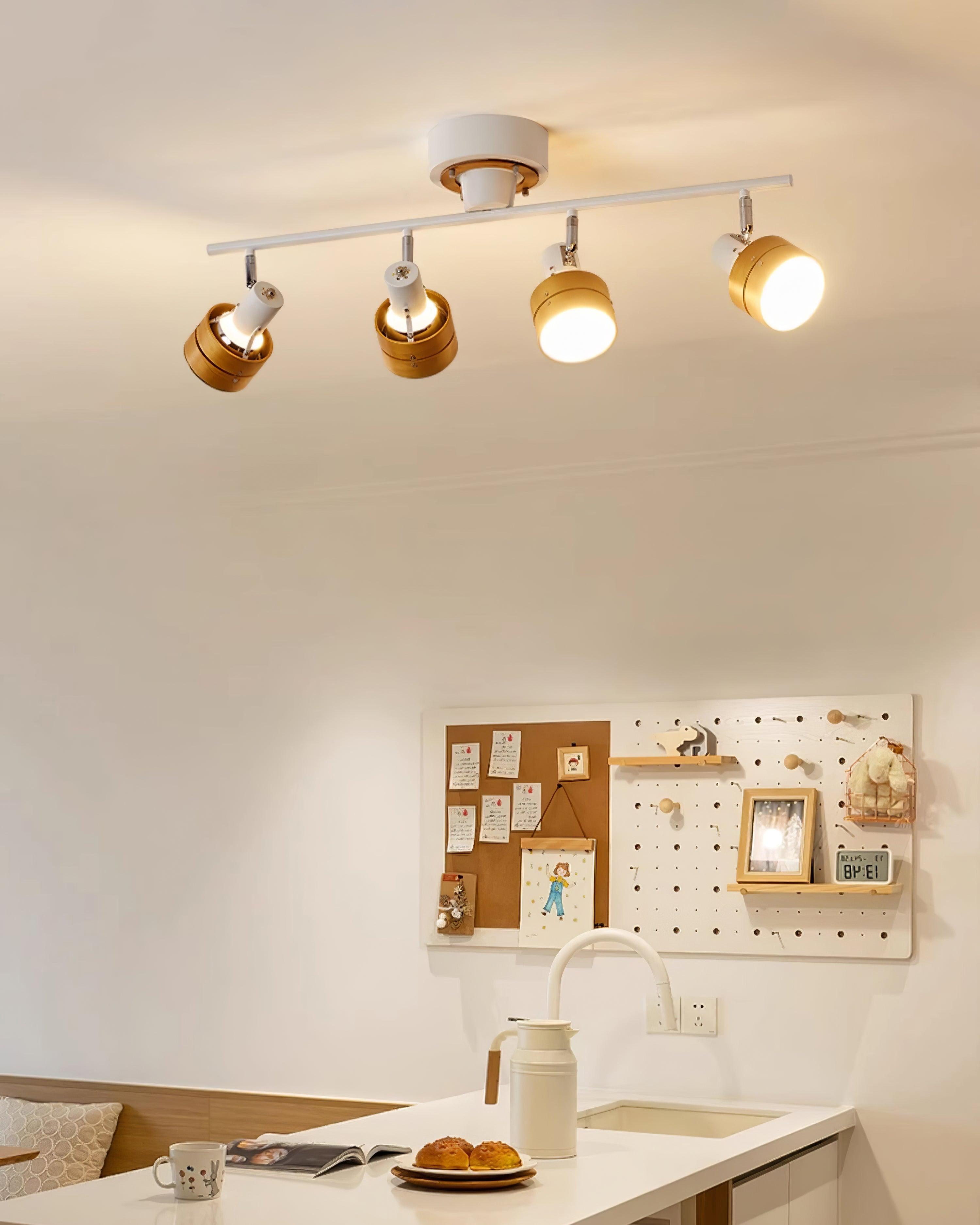 Daven Adjustable 4-Light Track Spotlight - Letslighting