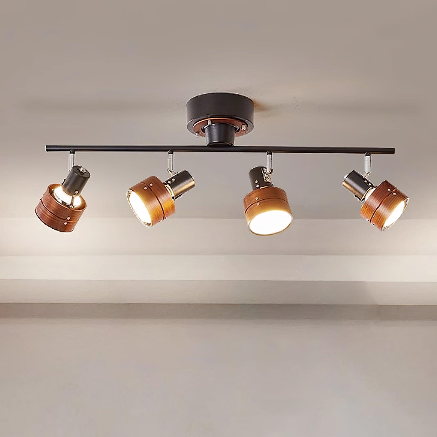 Daven Adjustable 4-Light Track Spotlight - Letslighting