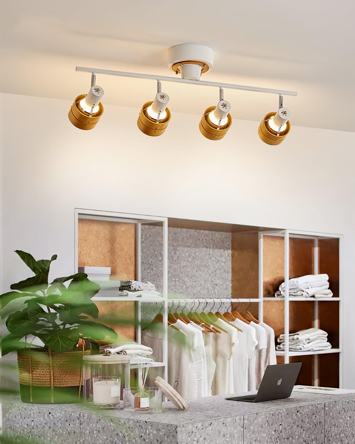 Daven Adjustable 4-Light Track Spotlight - Letslighting