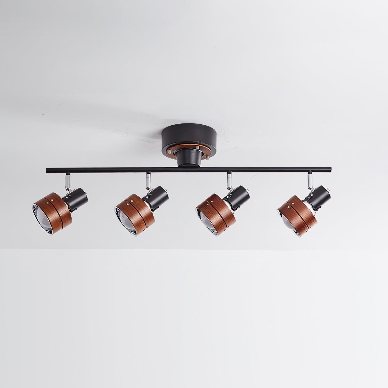 Daven Adjustable 4-Light Track Spotlight - Letslighting