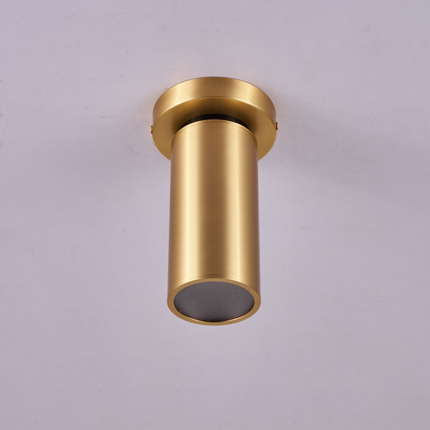 Horizon Brass Spot Light - Blowlighting
