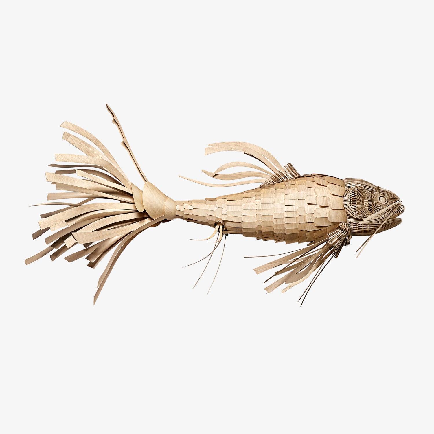 Koi Chandelier - Blowlighting