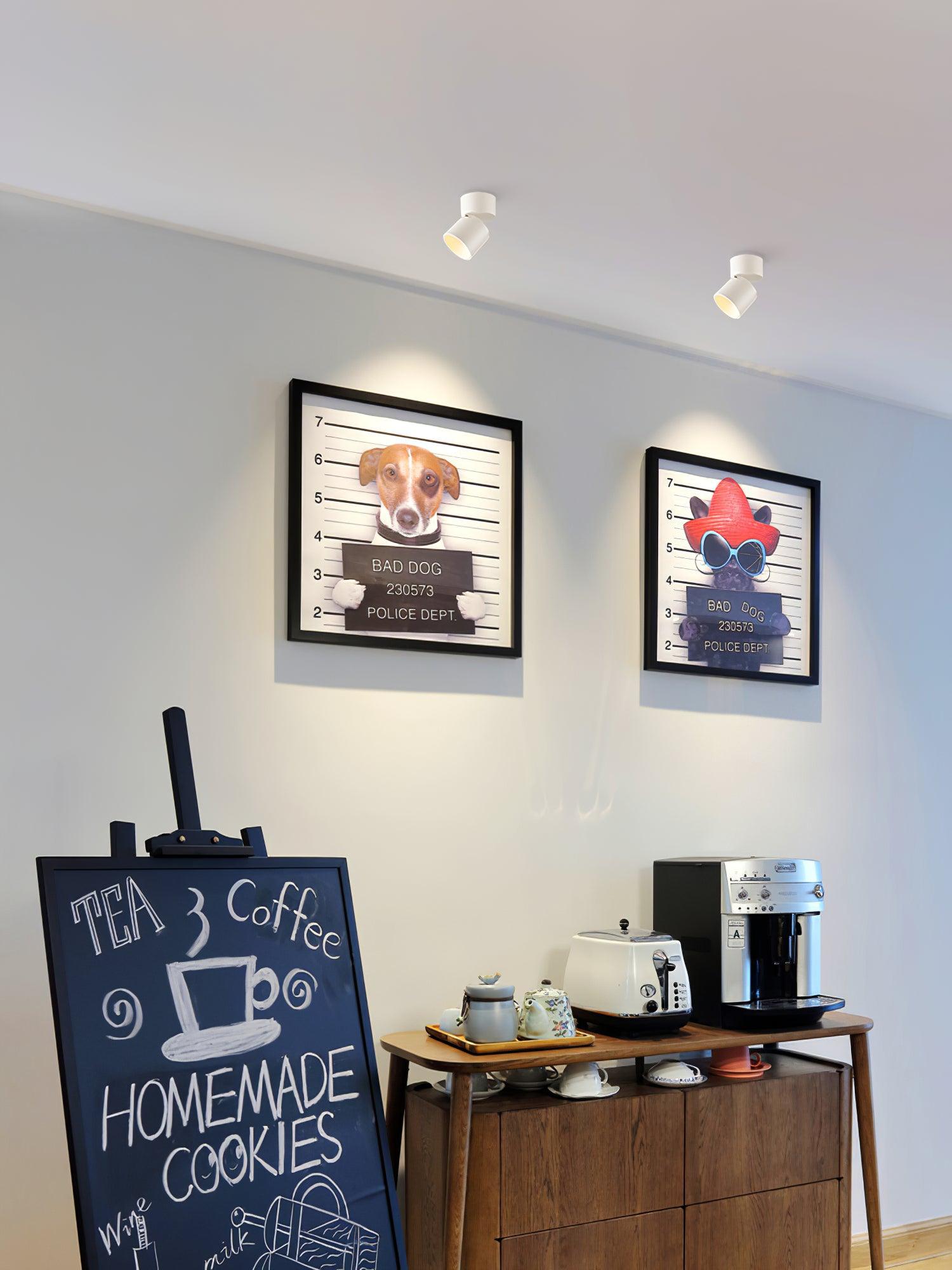 Lara2 Spotlights - Blowlighting