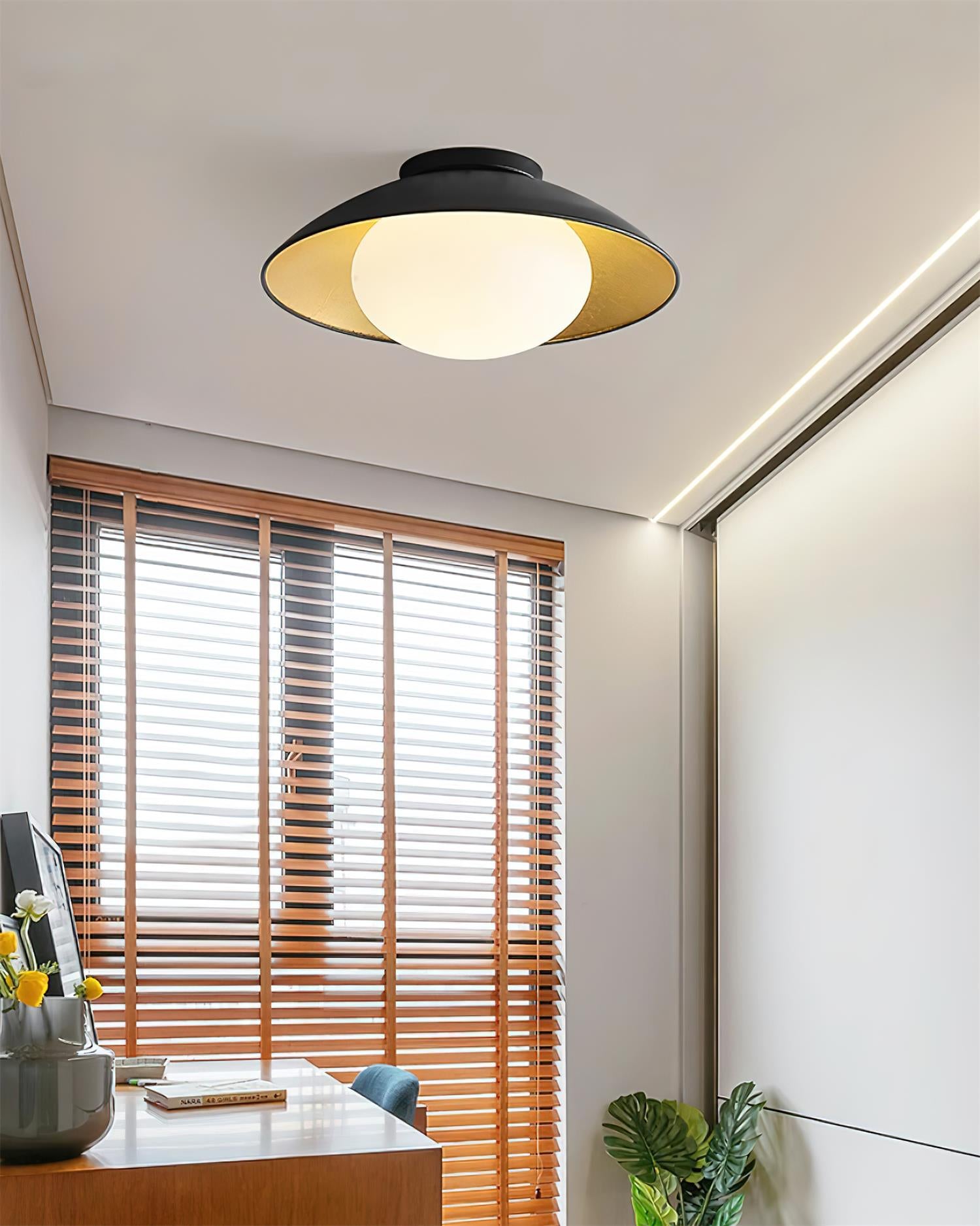 Ceiling Light Canopy Glass Globe Modern Minimalist - Letslighting
