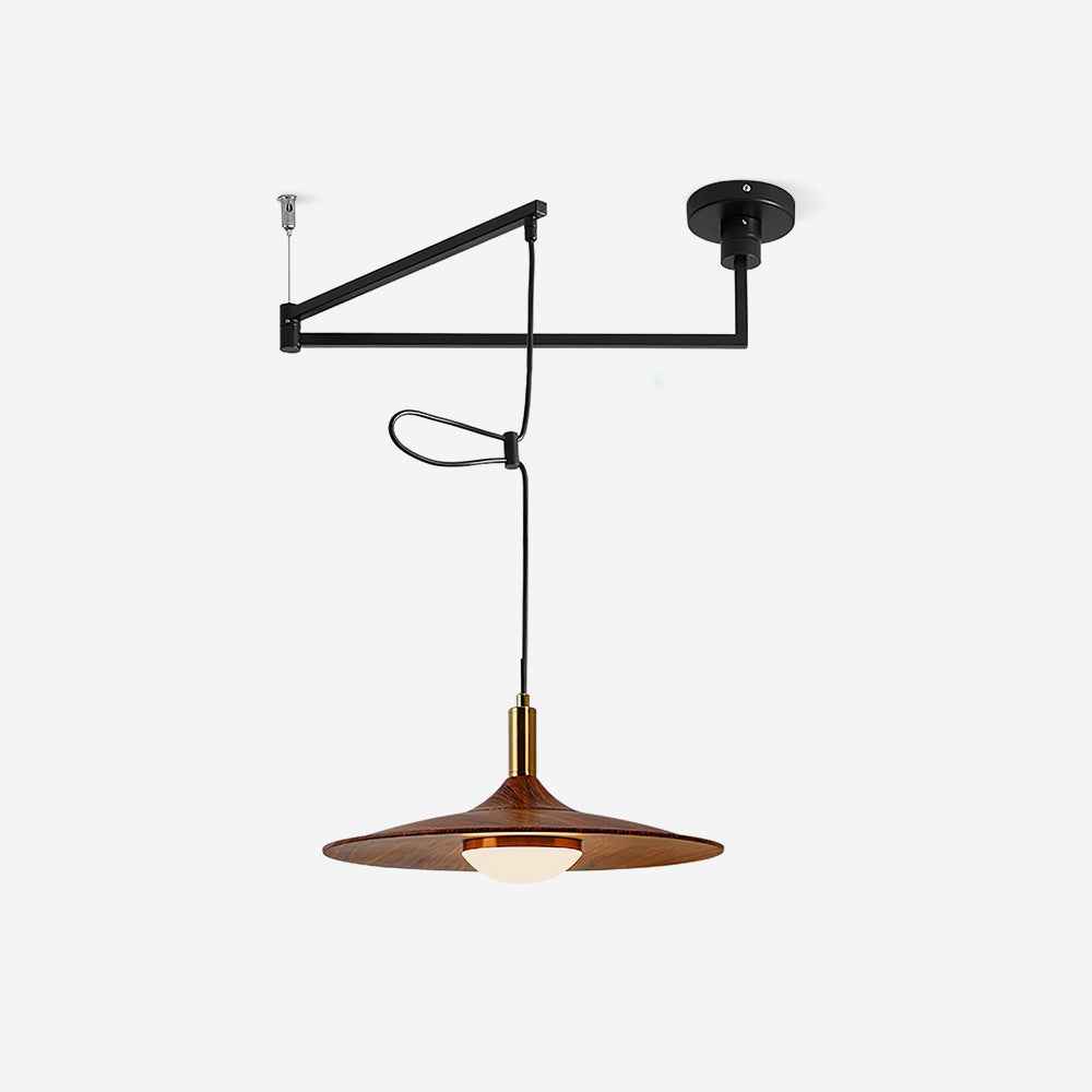 Veylo Adjustable Swing Arm Pendant Light - Letslighting