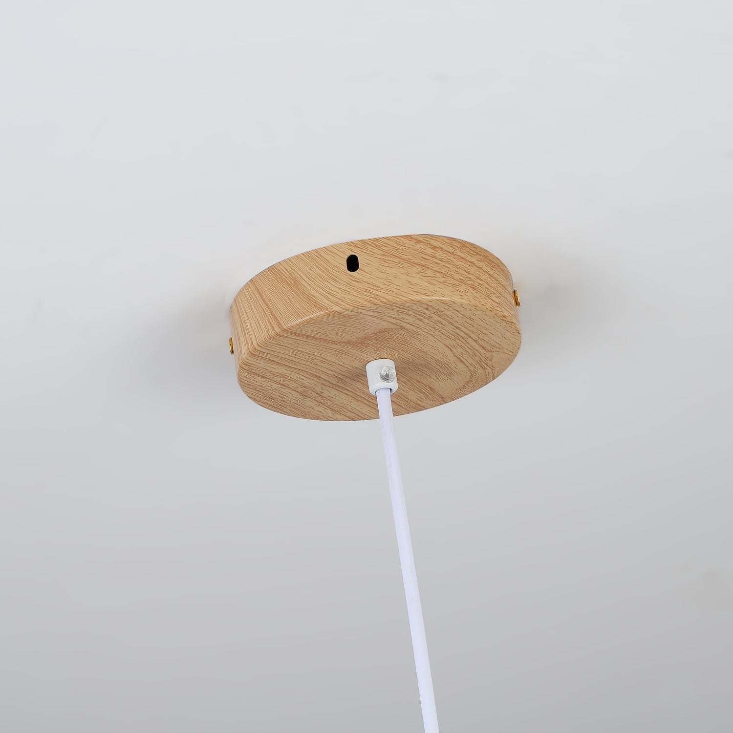 Chole Minimalist Metal Pendant Light - Blowlighting