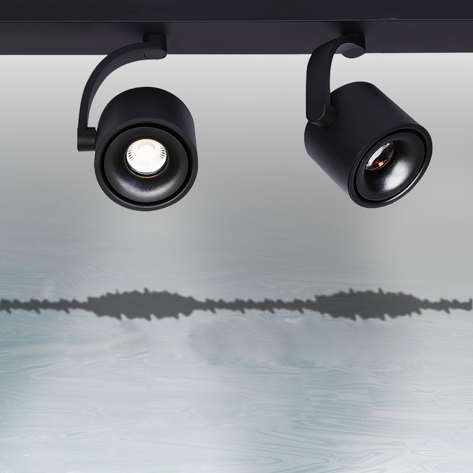 Paloma Ceiling Light - Blowlighting