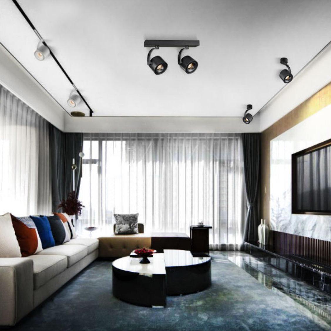 Paloma Ceiling Light - Blowlighting