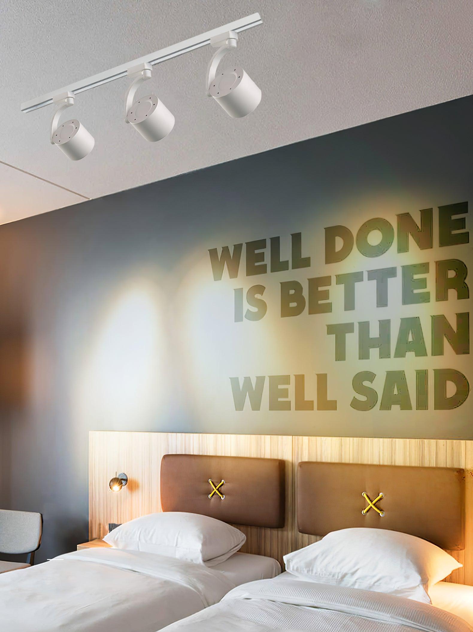 Paloma Ceiling Light - Blowlighting