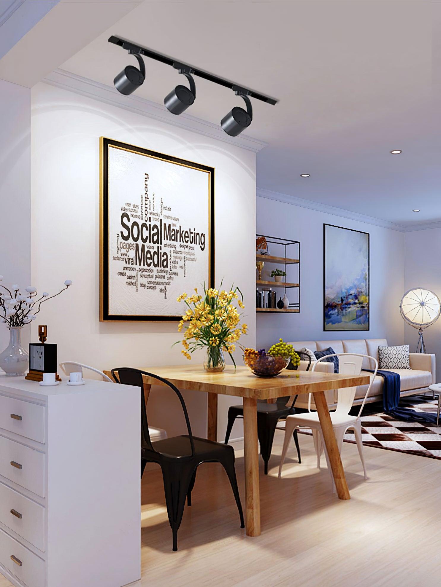 Paloma Ceiling Light - Blowlighting