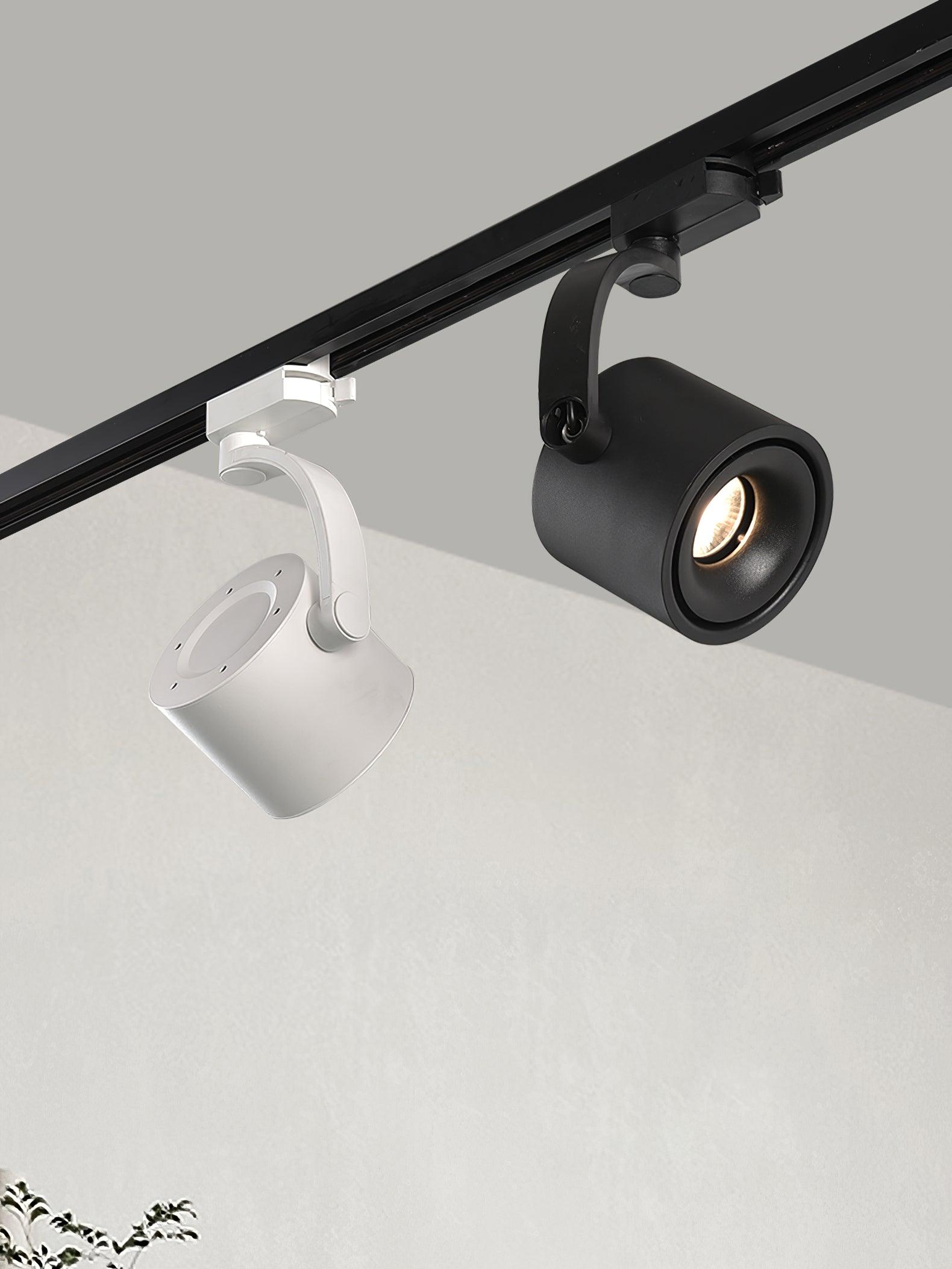 Paloma Ceiling Light - Blowlighting