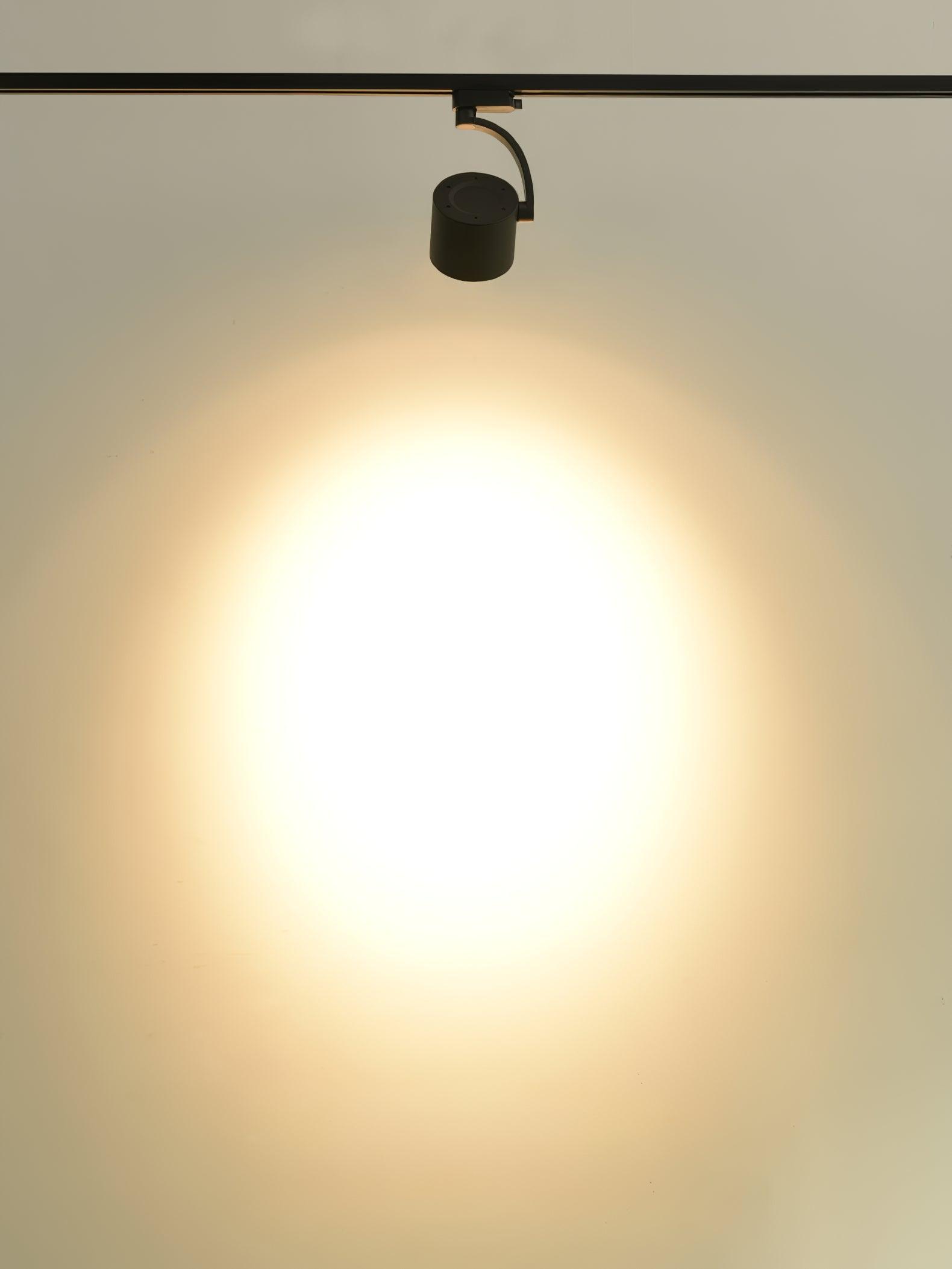 Paloma Ceiling Light - Blowlighting