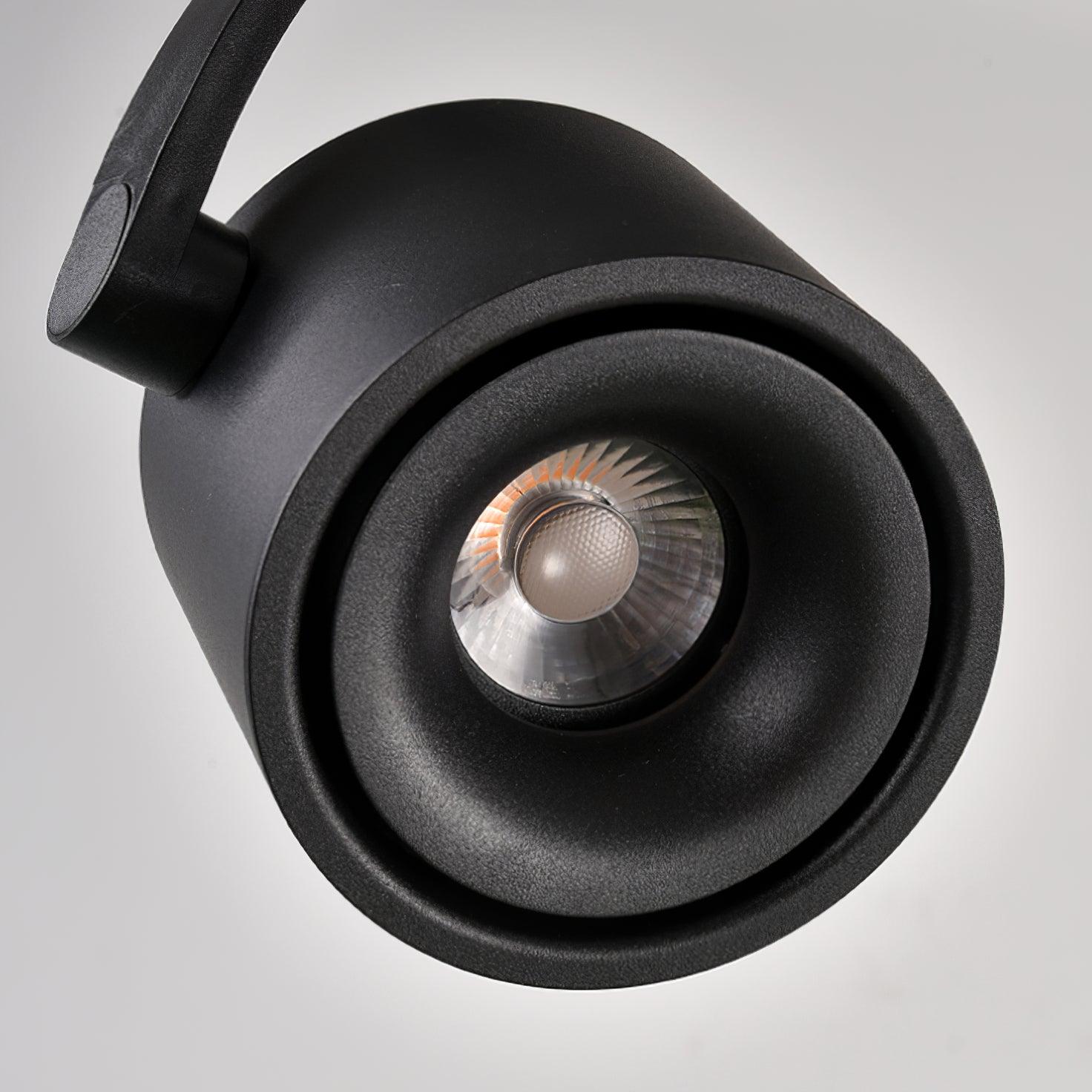 Paloma Ceiling Light - Blowlighting