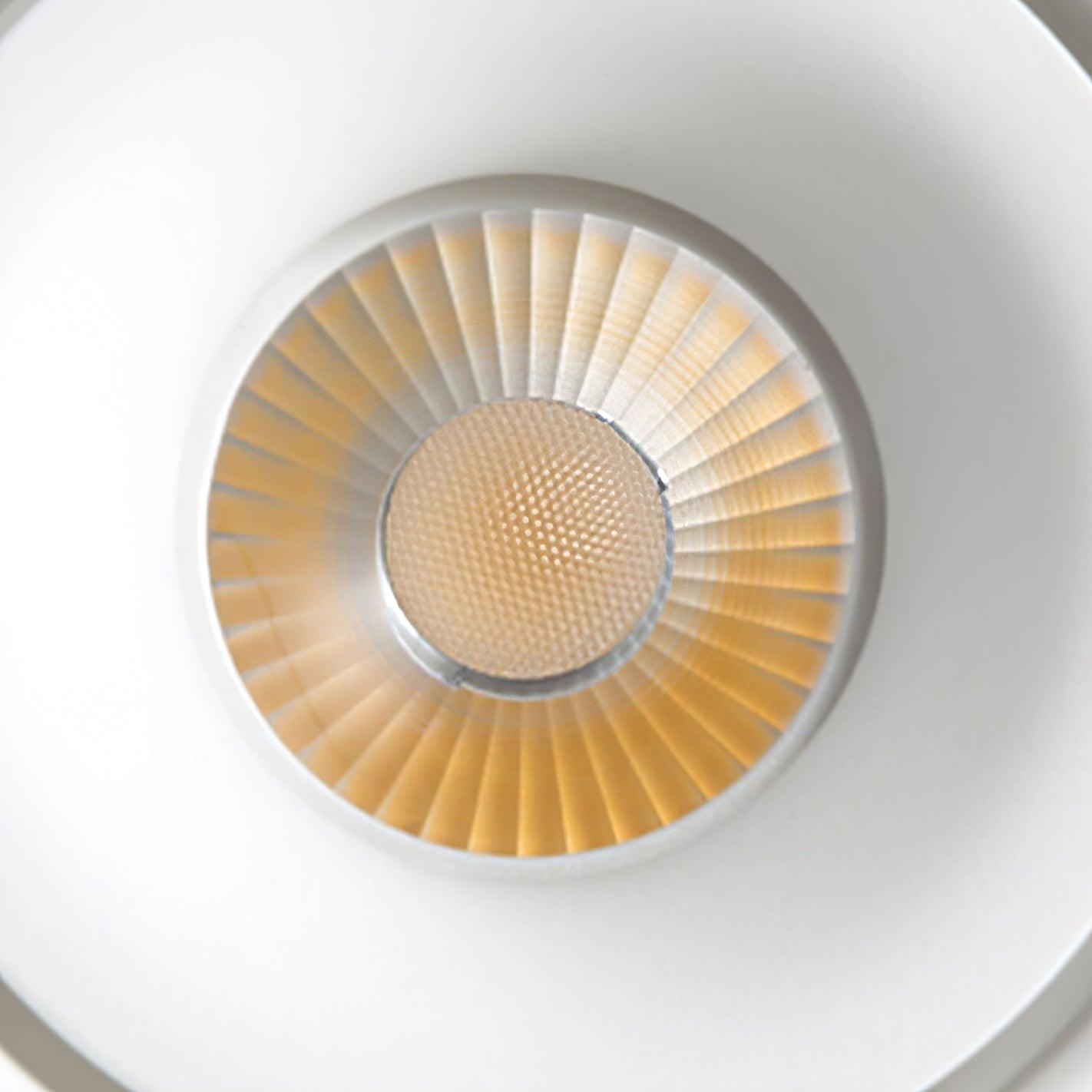 Paloma Ceiling Light - Blowlighting
