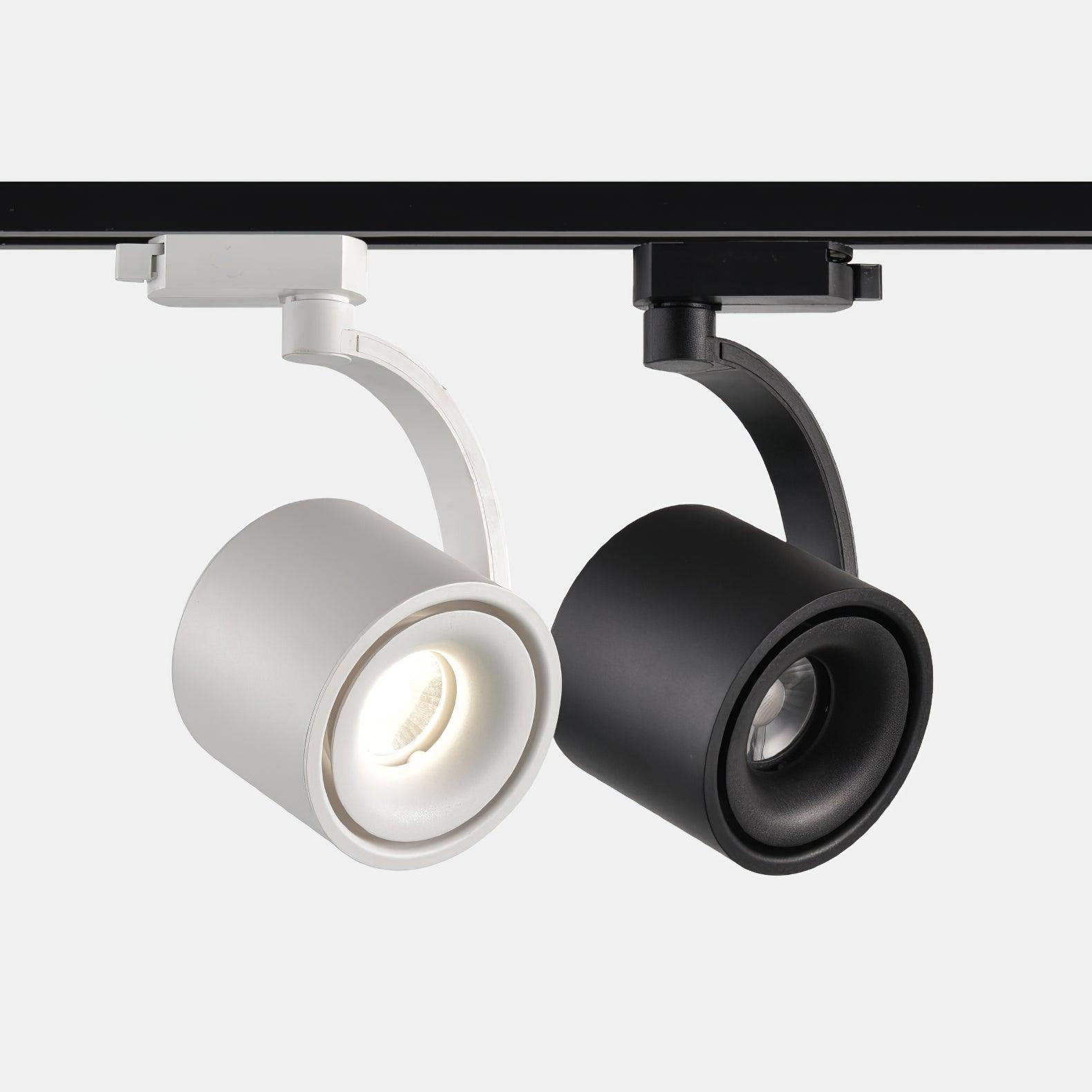 Paloma Ceiling Light - Blowlighting