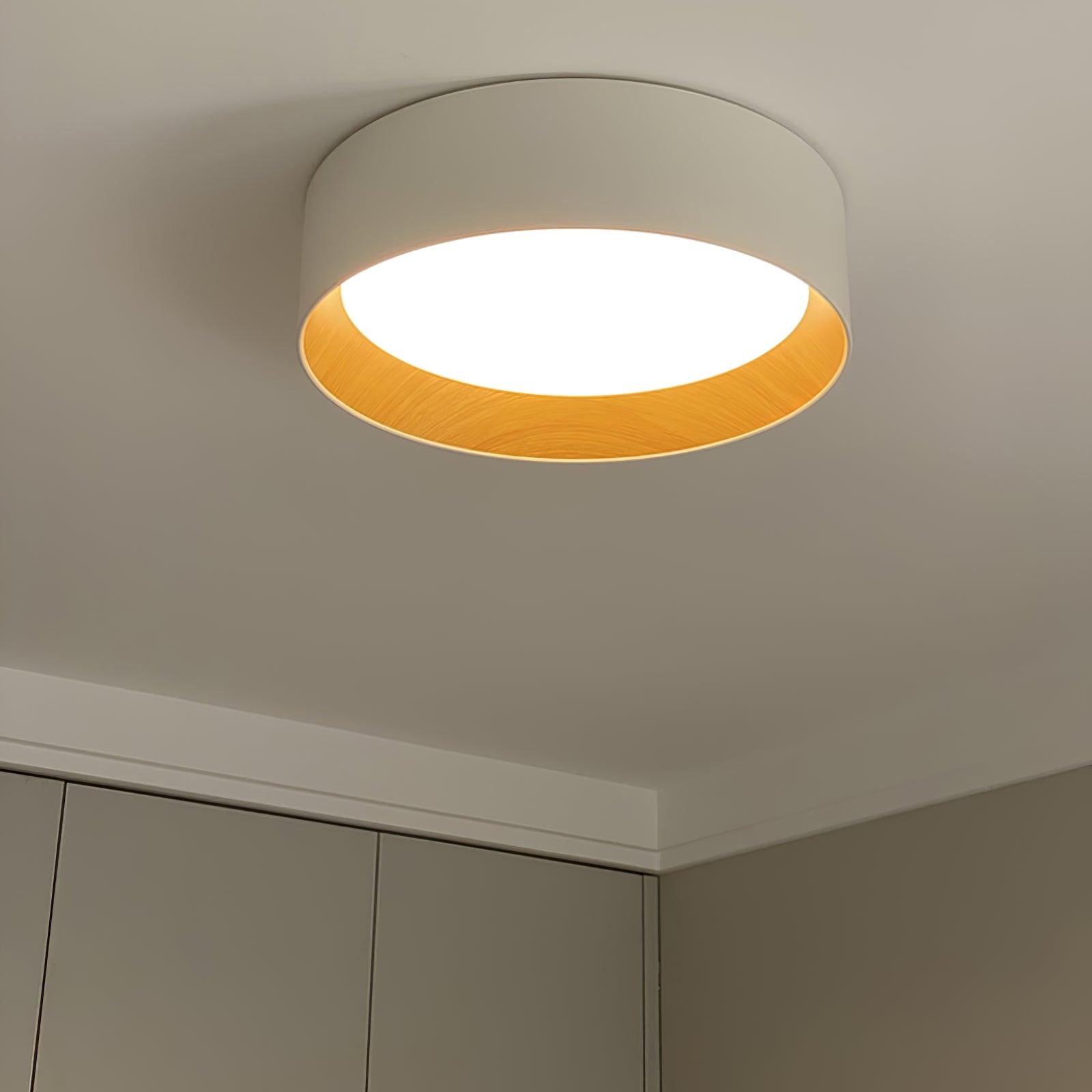 Round Ceiling Lamp - Blowlighting