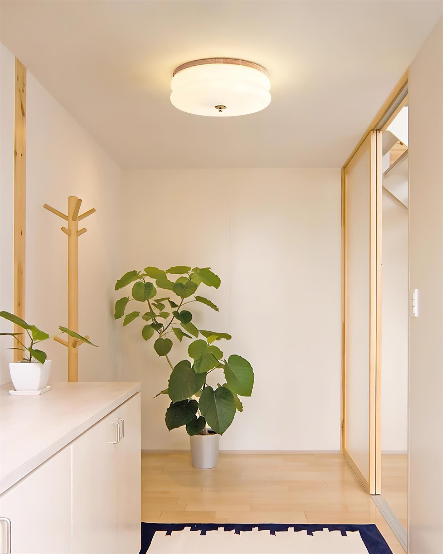 Ceiling Light Double-Layer Glass Disc Walnut Wood Minimalist - Letslighting