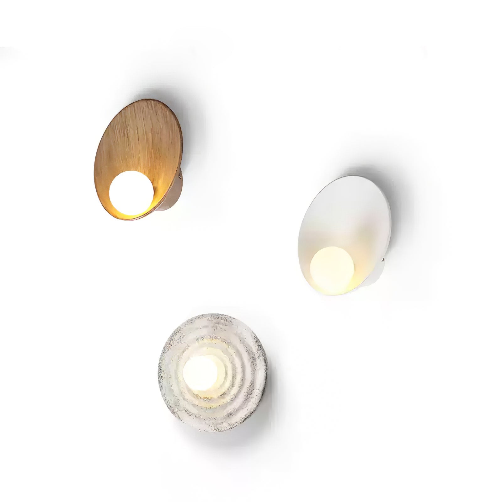 Seashell Resin Wall Lamp - Blowlighting