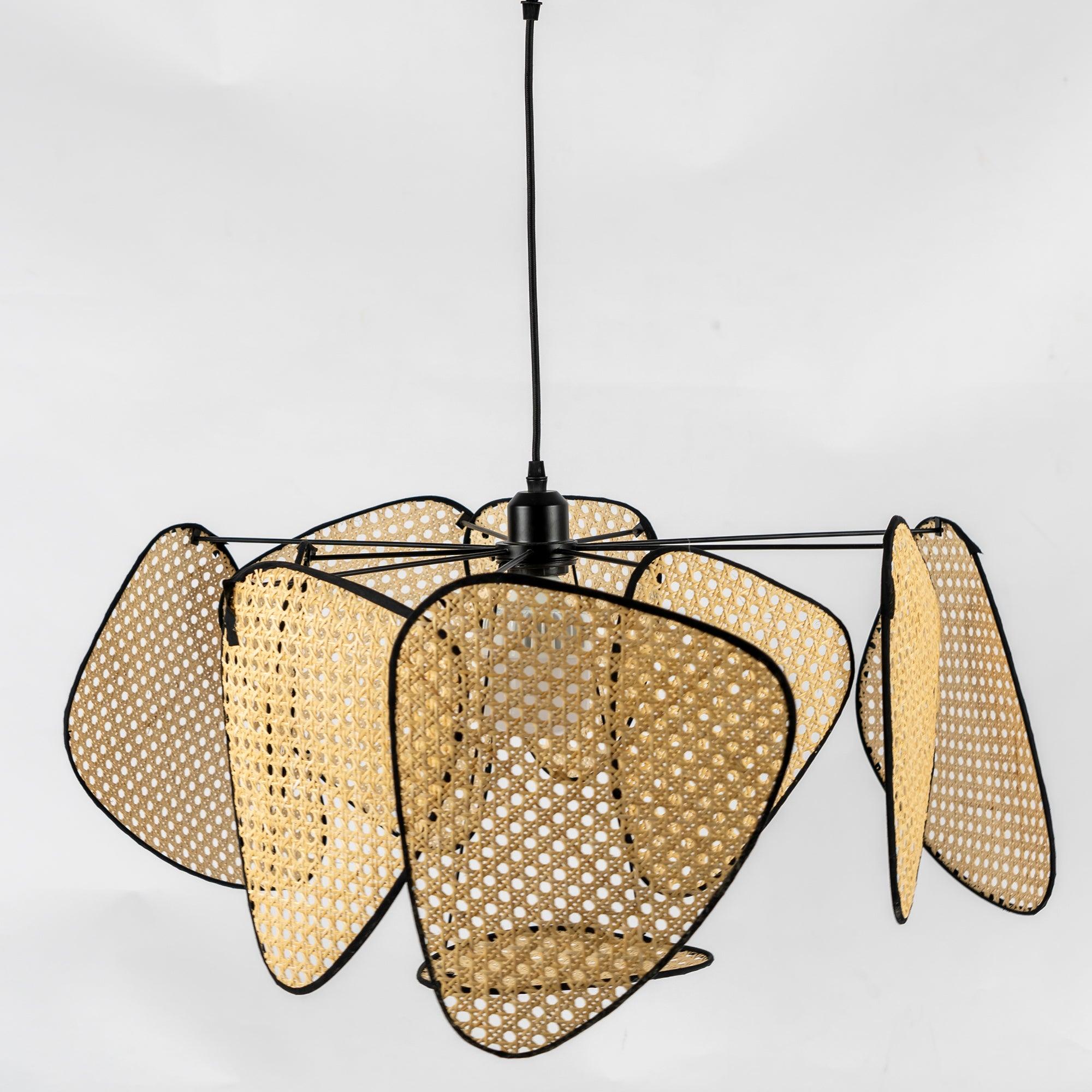 Screen Cannage Suspension - Blowlighting