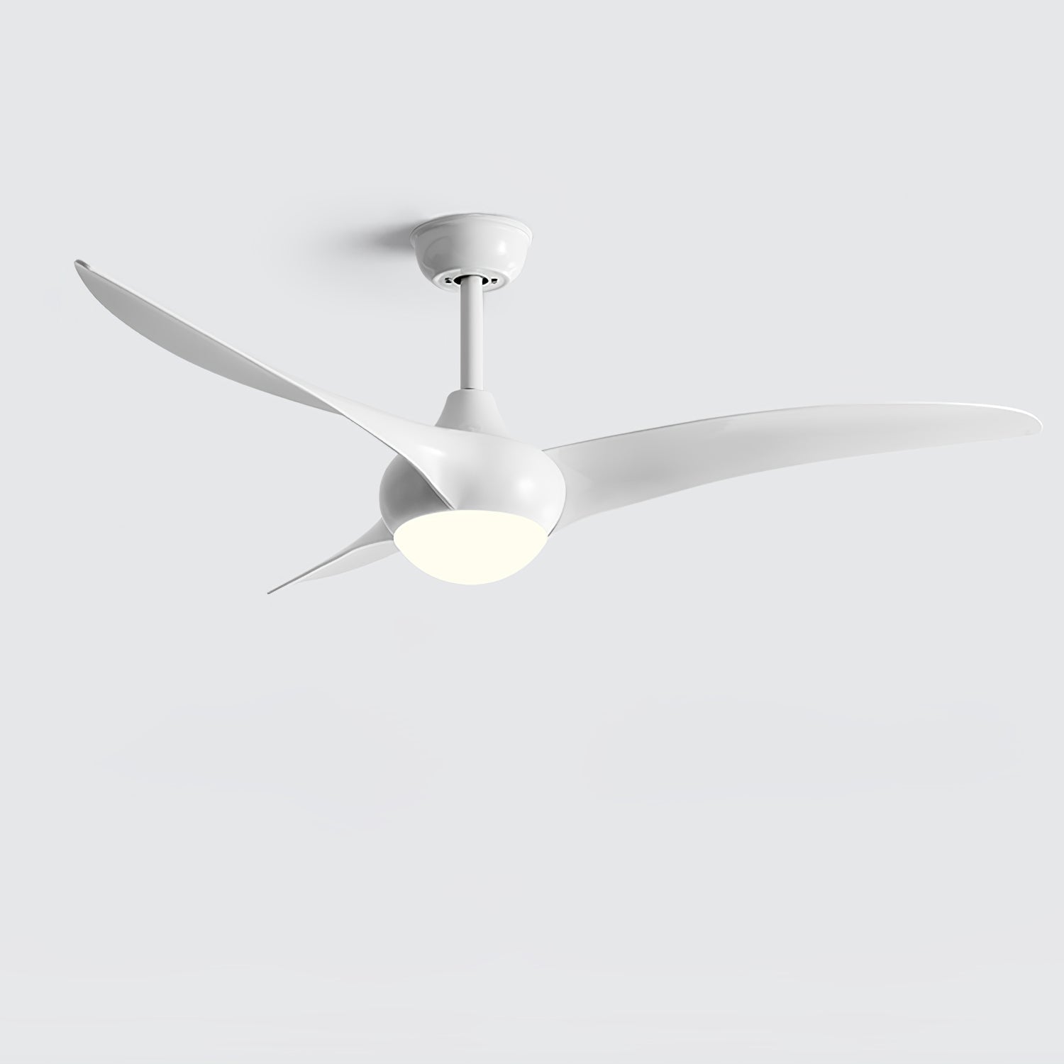 Traditional Ceiling Fan Light - Blowlighting
