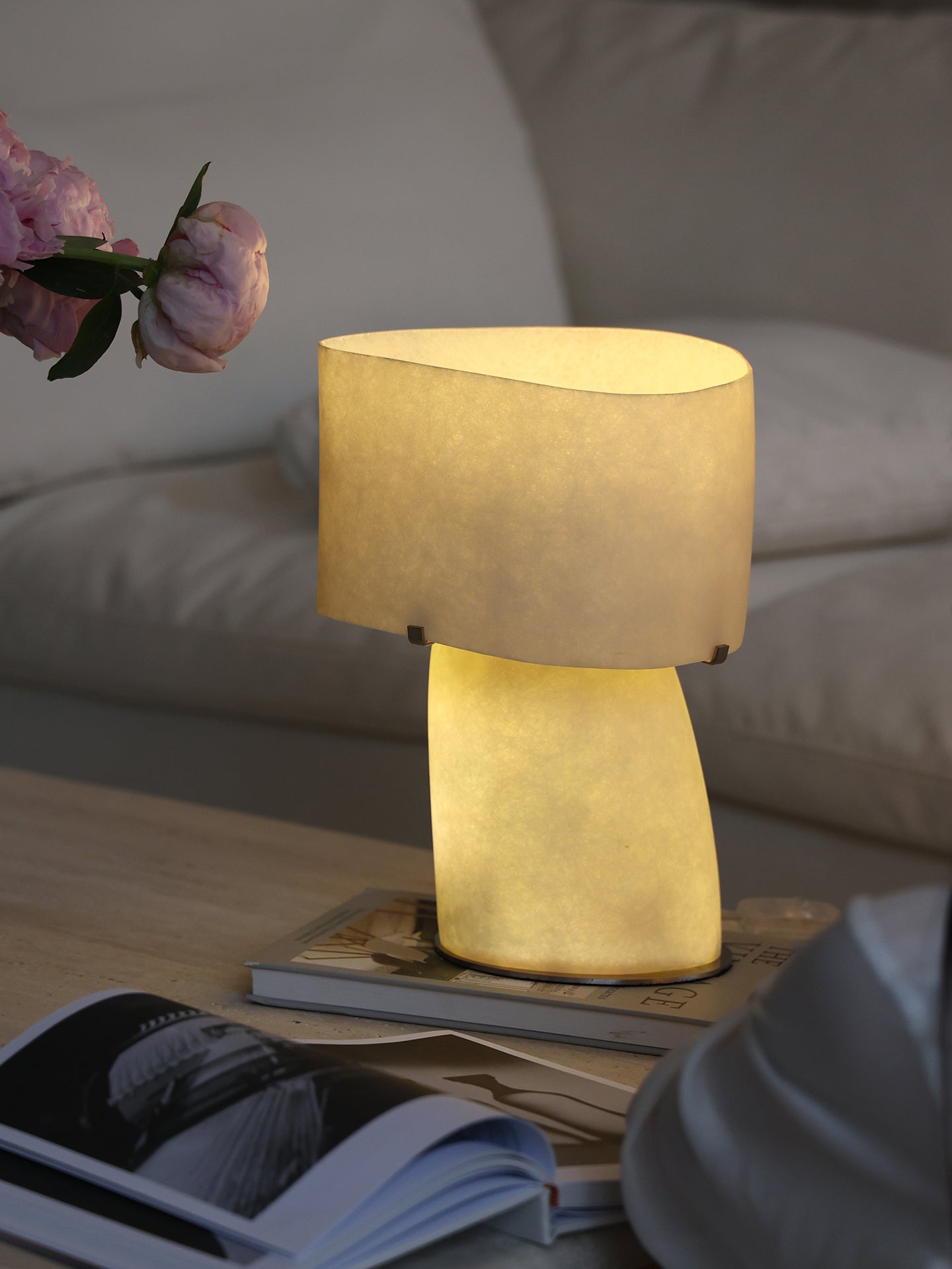 Vellum Moderne Minimaliste Plastique Métal Lampe de Table