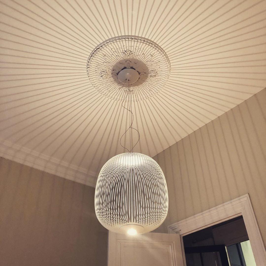 Aero Lightweight Spokes Cage Pendant Light - Letslighting
