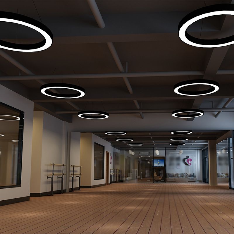 Arisha Luminaires Suspensions LED Anneau Simple Acrylique Noir/Blanc Salon/Cuisine