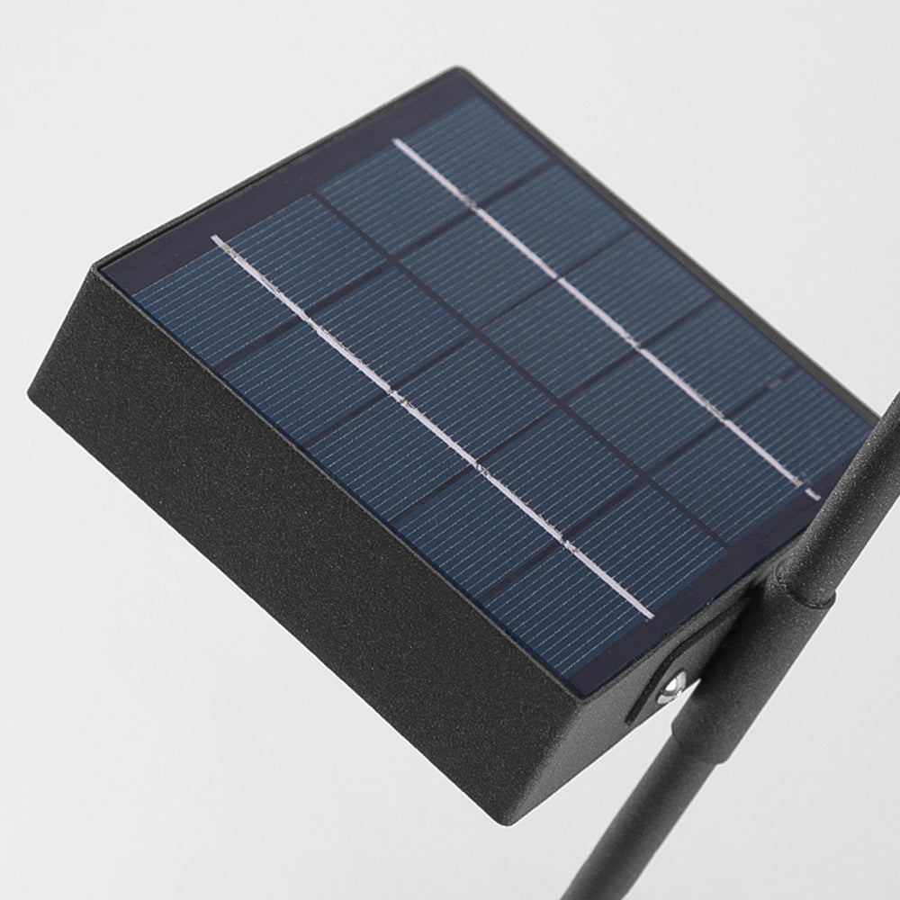 Ray Borne Extérieure Roseau Moderne  Noir Allée