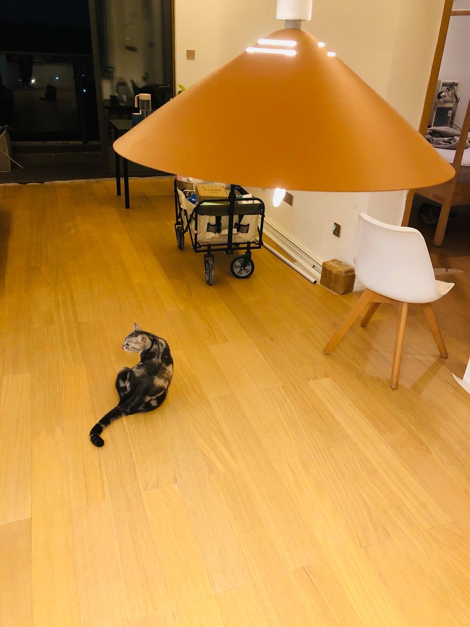 Agnes Retro Pendant Lamp - Blowlighting