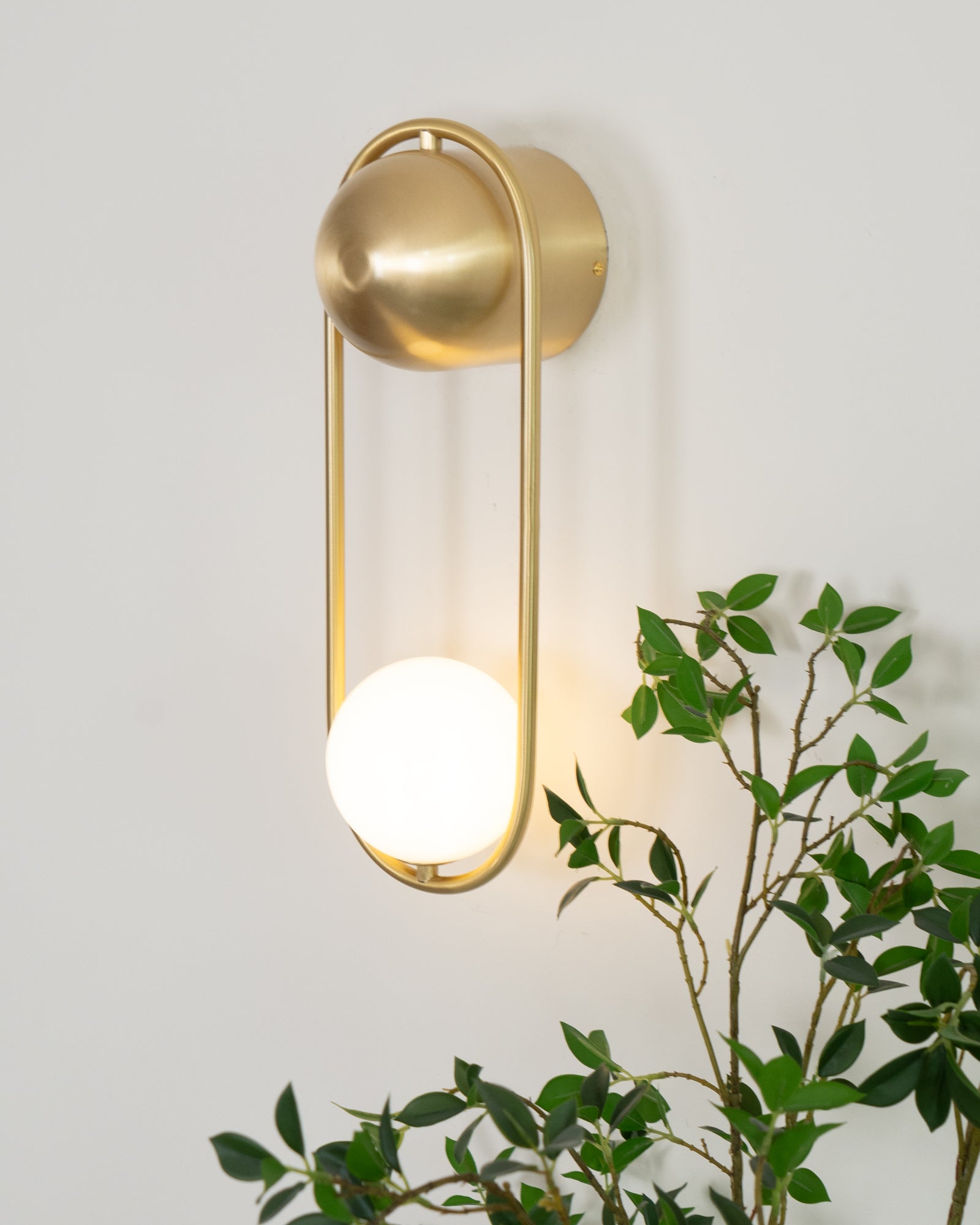 Wall Lamp with Brass Loop Frame and Glass Globe for Art - Letslighting