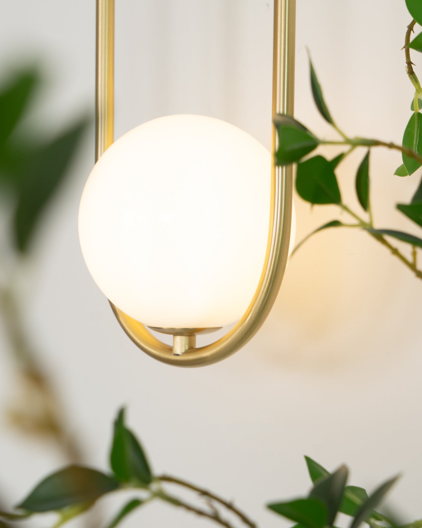 Wall Lamp with Brass Loop Frame and Glass Globe for Art - Letslighting