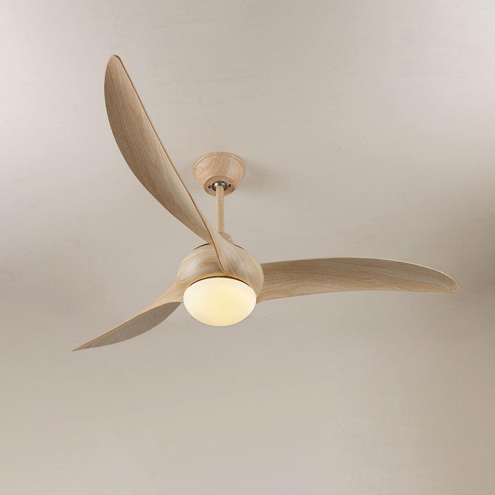 Traditional Ceiling Fan Light - Blowlighting