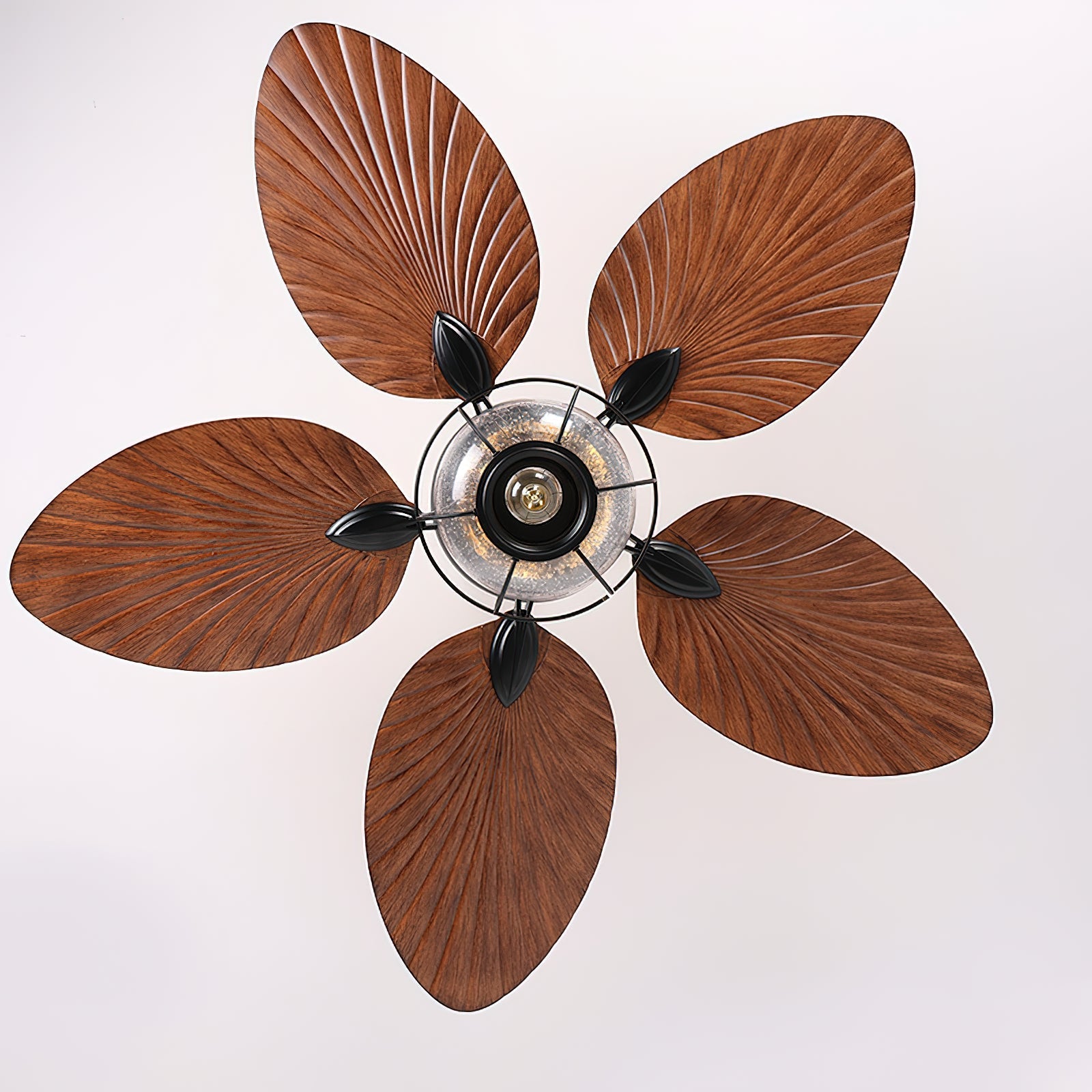 Yearn Natural Classic Walnut Acrylic Ceiling Fan Light - Lamp Copper