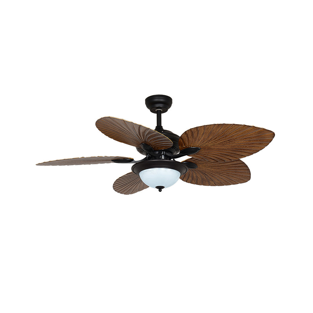 Yearn Natural Classic Walnut Acrylic Ceiling Fan Light - Lamp Copper